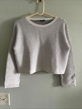 Theory Striped Cropped Crewneck Sweater in White and Light Gray